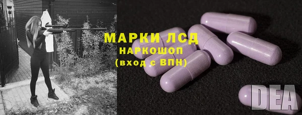 ПСИЛОЦИБИНОВЫЕ ГРИБЫ Алексин